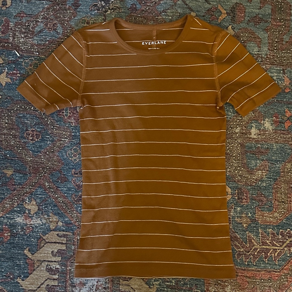 Everlane Brown Stripe Short-Sleeve Tee